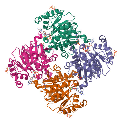 Rcsb Pdb 3rqx Crystal Structure Of Adp Atp Dependent Nad P H Hydrate