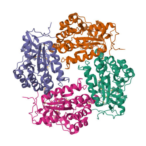 Beginner’S Guide To Pdb Structures And The Pdbx/Mmcif Format – IOQJ