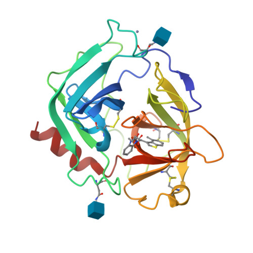 RCSB PDB - 3S0N: Crystal Structure of Human Chymase with ...