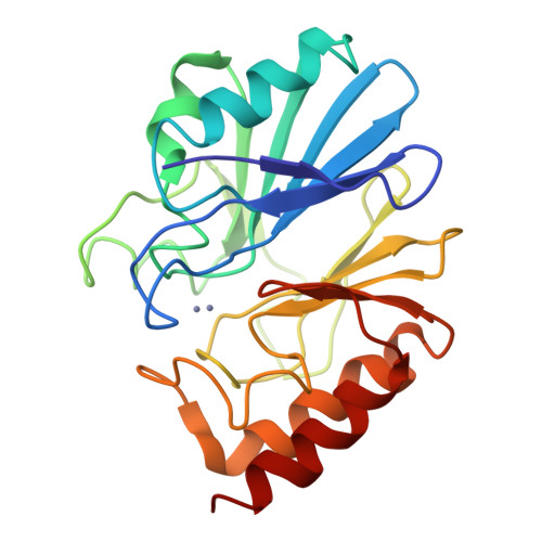 Beta-lactamase NDM-1 structure