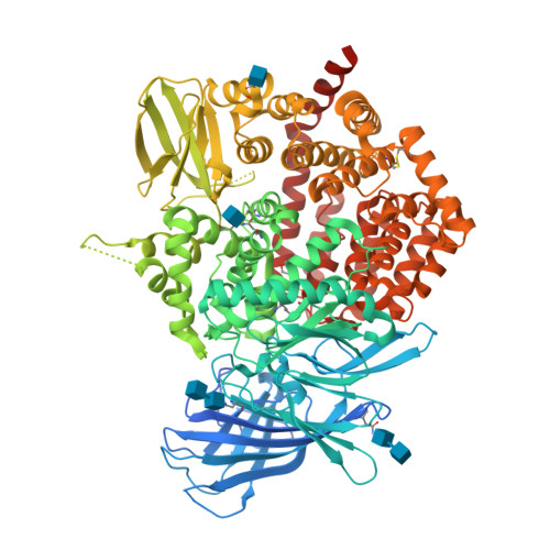 Endoplasmic reticulum aminopeptidase 2 structure