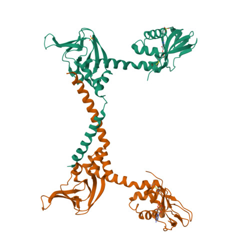 cGMP-dependent protein kinase 1 structure