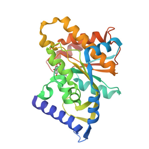 RCSB PDB - 3SII: The X-ray crystal structure of poly(ADP-ribose ...