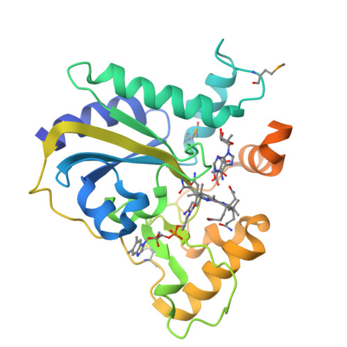 RCSB PDB - 3SOM: crystal structure of human MMACHC