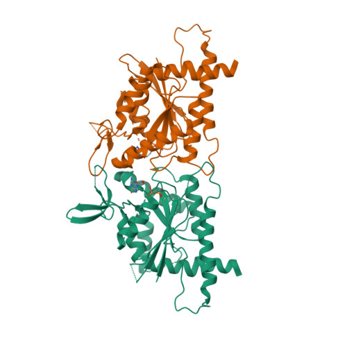PDB 3SOP