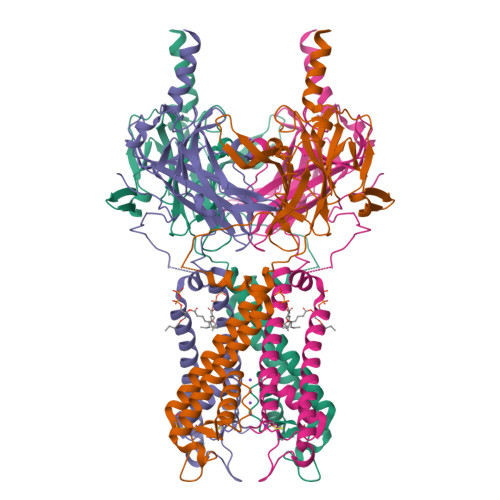 RCSB PDB - 3SPC: Inward rectifier potassium channel Kir2.2 in complex ...