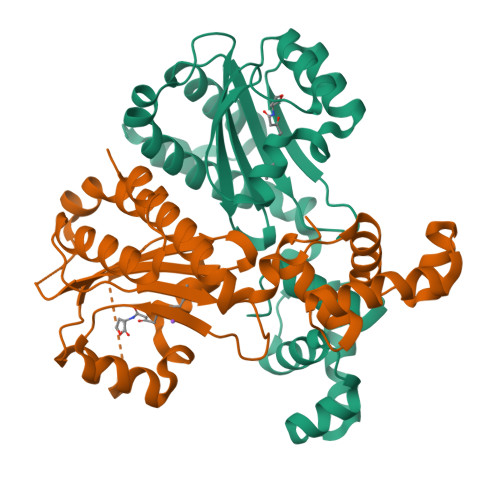PhzR structure