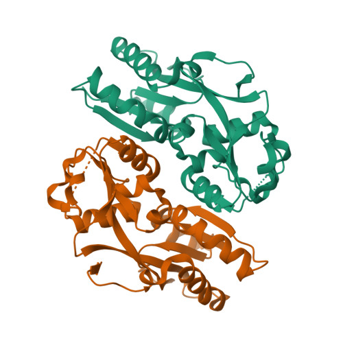 RCSB PDB - 3T22: Crystal structure of OxyR mutant from