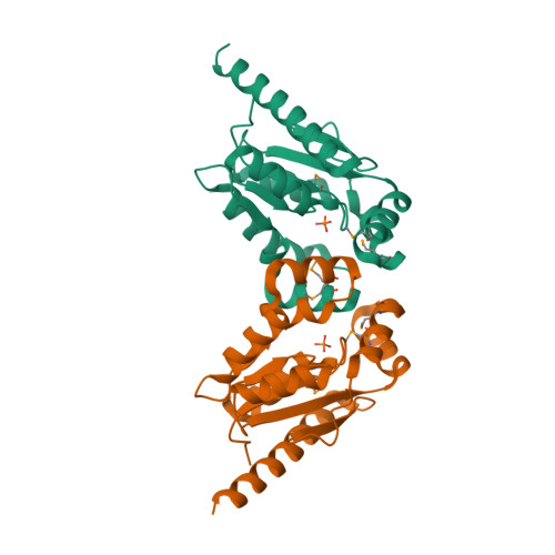 RCSB PDB - 3T61: Crystal Structure of a gluconokinase from 