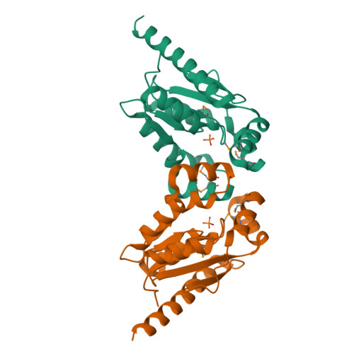 RCSB PDB - 3T61: Crystal Structure of a gluconokinase from 