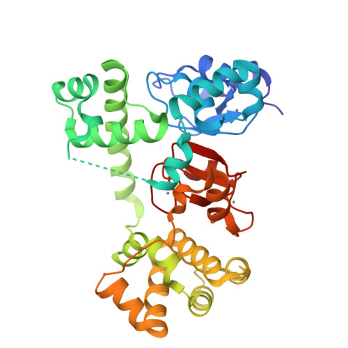 RCSB PDB - 3T6P: IAP Antagonist-induced Conformational Change In CIAP1 ...