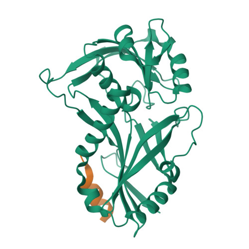 RCSB PDB - 3T7G: Atg8 transfer from Atg7 to Atg3: a distinctive E1-E2 ...