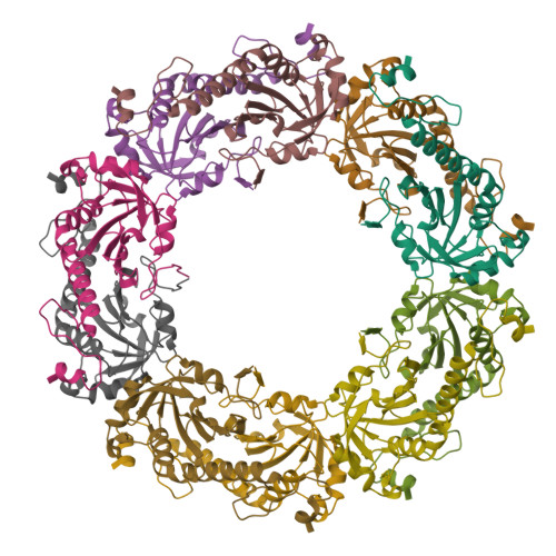 C245a RCSB PDB - 3TJK: Crystal Structure of human peroxiredoxin IV C245A ...