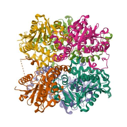 RCSB PDB - 3TLF: Crystal structure of an enoyl-CoA hydratase/isomerase ...