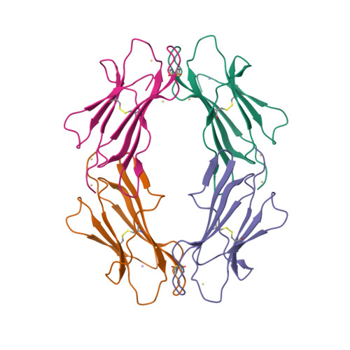 RCSB PDB - 3TLR: Crystal Structure of the tetrameric Beta-2 ...