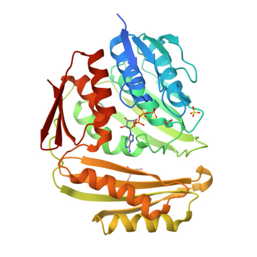 Rtc3 Structures RCSB PDB - 3TUT: Crystal structure of RtcA.ATP binary complex