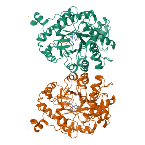 RCSB PDB - 3TX9: OYE1 complexed with 2-(Hydroxymethyl