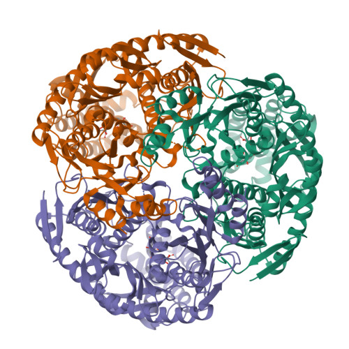 PDB 3U1K