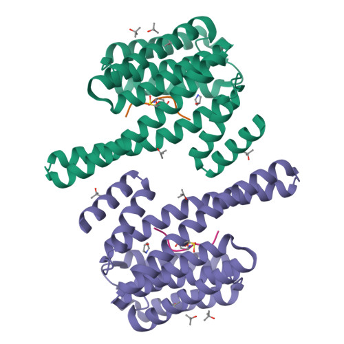 RCSB PDB - 3UBW: Complex of 14-3-3 isoform epsilon, a Mlf1 ...