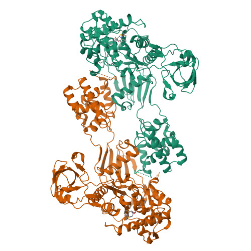 RCSB PDB - 3UDI: Crystal structure of Acinetobacter baumannii PBP1a in ...