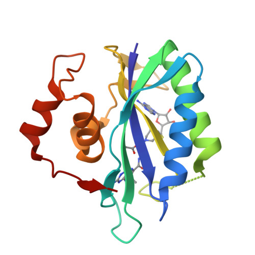 RCSB PDB - 3UDV: Crystal structure of E. coli HPPK in complex with ...