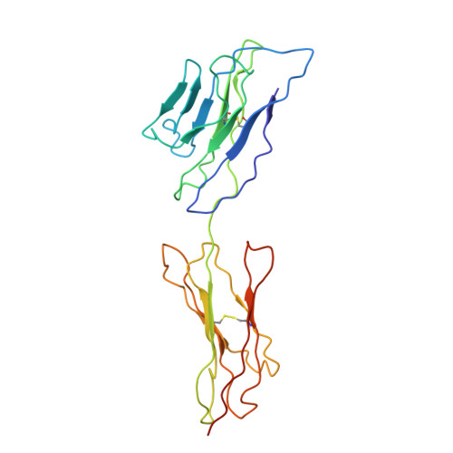 RCSB PDB - 3URO: Poliovirus receptor CD155 D1D2