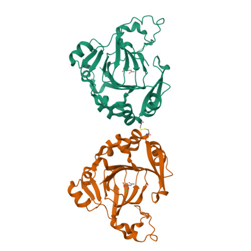 Bifunctional peptidase and arginyl-hydroxylase JMJD5 structure
