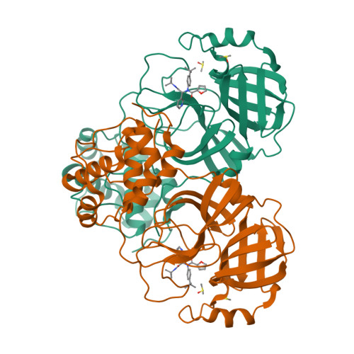 Potent Noncovalent Inhibitors of the Main Protease of SARS-CoV-2