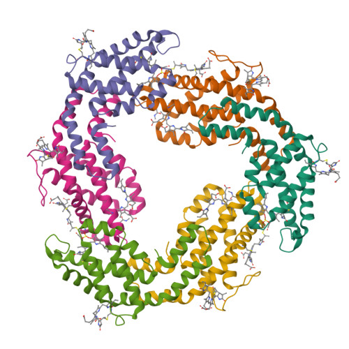 RCSB PDB - 3V58: Crystal Structure Of The B-phycoerythrin From The Red ...