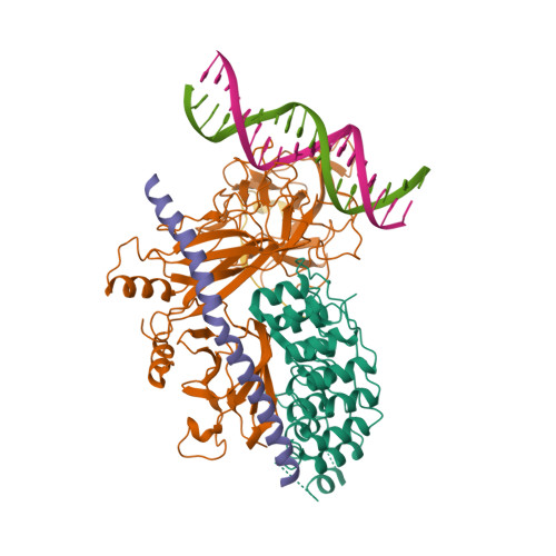 RCSB PDB - 3V79: Structure of human Notch1 transcription complex 