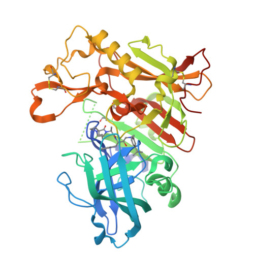 RCSB PDB - 3VEU: Crystal Structure of Human Beta Secretase in Complex ...