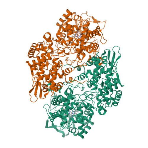 RCSB PDB - 3VLJ: Crystal Structure Analysis of the Cyanide