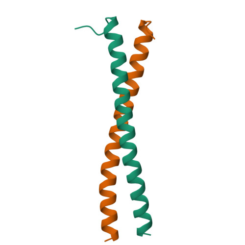 RCSB PDB - 3VN0: Crystal Structure of a parallel coiled-coil 