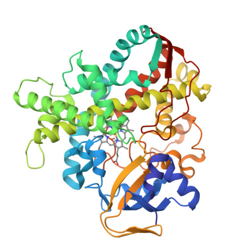 rcsb-pdb-3voo-cytochrome-p450sp-alpha-cyp152b1-mutant-a245e