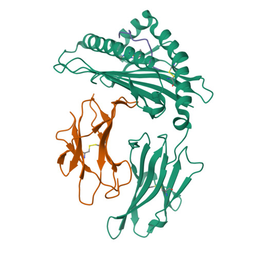 PDB 3VRJ