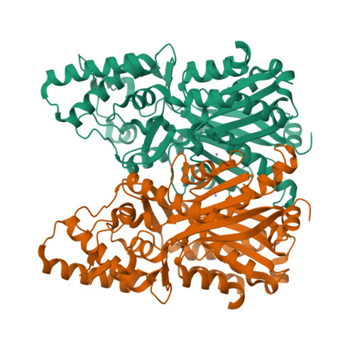 RCSB PDB - 3VS8: Crystal structure of type III PKS ArsC
