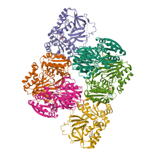 Rcsb Pdb Vzd Crystal Structure Of Sphingosine Kinase With Inhibitor And Adp