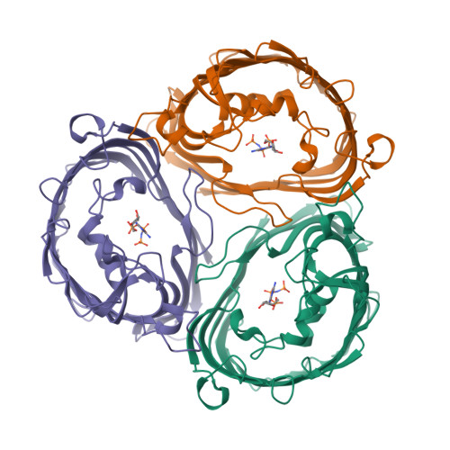 RCSB PDB - 3VZU: Crystal Structure of outer membrane protein PorB from ...