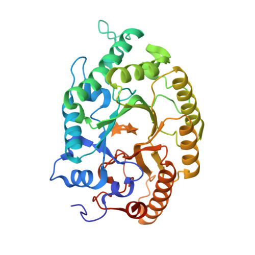 RCSB PDB - 3W27: The high-resolution crystal structure of TsXylA ...