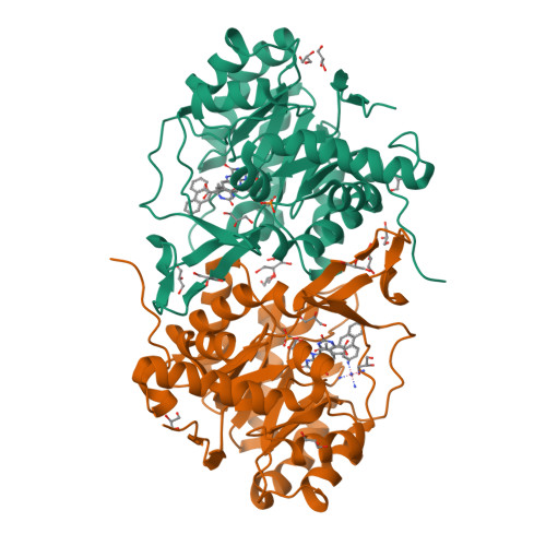 RCSB PDB - 3W73: Structure of Trypanosoma cruzi dihydroorotate ...