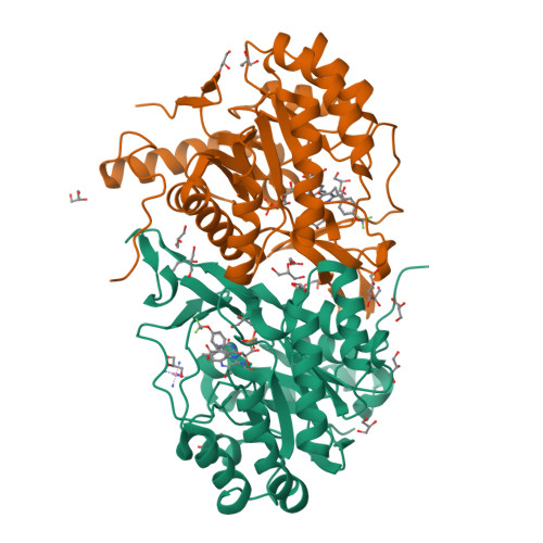 RCSB PDB - 3W74: Structure of Trypanosoma cruzi dihydroorotate