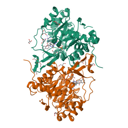 RCSB PDB - 3W7C: Structure of Trypanosoma cruzi dihydroorotate ...