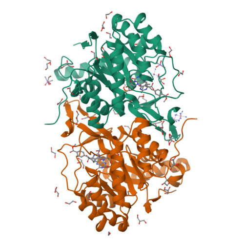 RCSB PDB - 3W86: Structure of Trypanosoma cruzi dihydroorotate ...