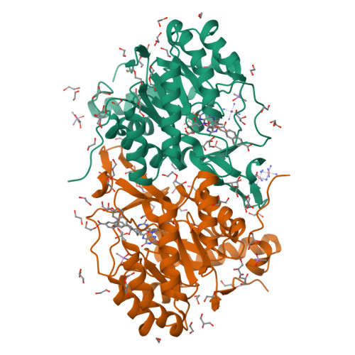 RCSB PDB - 3W88: Structure of Trypanosoma cruzi dihydroorotate ...