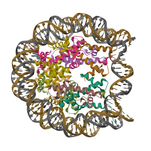 RCSB PDB - 3W97: Crystal Structure of Human Nucleosome Core Particle ...