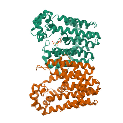 RCSB PDB - 3WJO: Crystal structure of Octaprenyl Pyrophosphate synthase ...