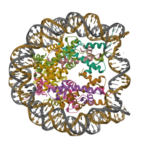 PDB 3WKJ