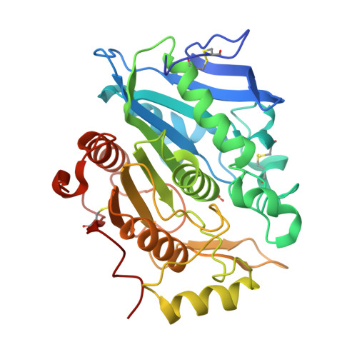 RCSB PDB - 3WLA: Crystal Structure of sOPH Native