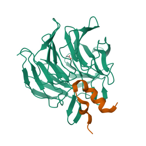 RCSB PDB - 3WN7: Crystal Structure of Keap1 in Complex with the N ...