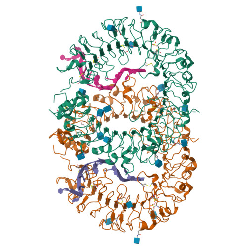 Tlr9 Structure RCSB PDB - 3WPC: Crystal structure of horse TLR9 in complex with ...
